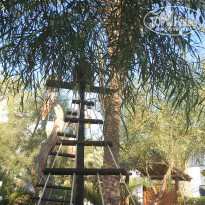 фото из отзыва ID 2070872