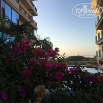 фото из отзыва ID 2070952