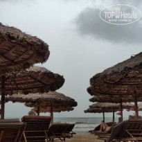 фото из отзыва ID 2071025