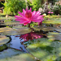 фото из отзыва ID 2071025