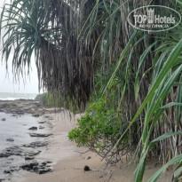 фото из отзыва ID 2071091