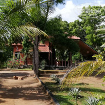 фото из отзыва ID 2071091