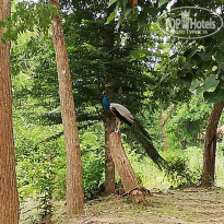 фото из отзыва ID 2071091