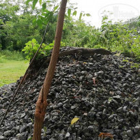 фото из отзыва ID 2071091