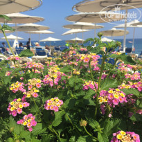 фото из отзыва ID 2071108