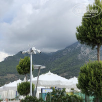 фото из отзыва ID 2071113