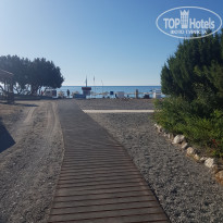 фото из отзыва ID 2070408