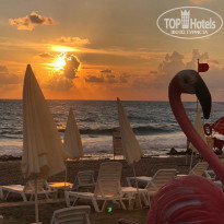 фото из отзыва ID 2071113