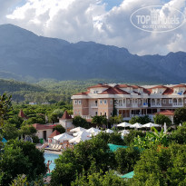 фото из отзыва ID 2071094