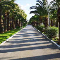 фото из отзыва ID 2071146