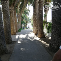 фото из отзыва ID 2071146