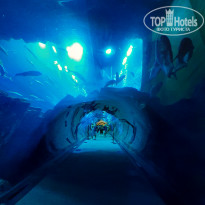 фото из отзыва ID 2071240