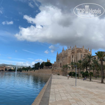 фото из отзыва ID 2071287