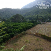 фото из отзыва ID 2070625