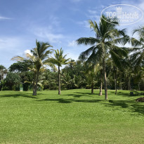 фото из отзыва ID 2071375