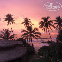 фото из отзыва ID 2071375