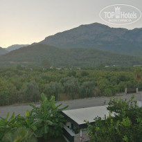 фото из отзыва ID 2071335