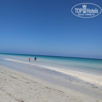 фото из отзыва ID 2070571