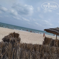 фото из отзыва ID 2070571