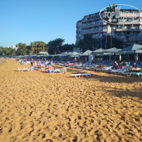 фото из отзыва ID 2071414