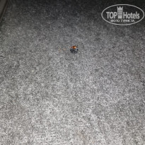 фото из отзыва ID 2071466