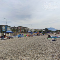 фото из отзыва ID 2071454