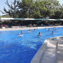 фото из отзыва ID 2071521