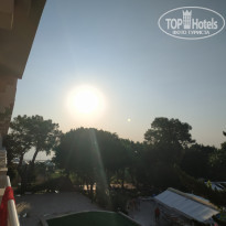 фото из отзыва ID 2071597