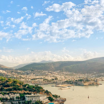 фото из отзыва ID 2071859