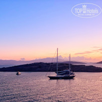 фото из отзыва ID 2071859