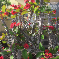 фото из отзыва ID 2071855