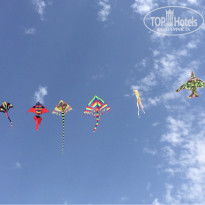 фото из отзыва ID 2071855