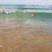 фото из отзыва ID 2071871