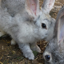 фото из отзыва ID 2071950