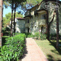 фото из отзыва ID 2071950