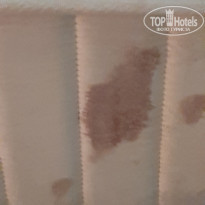 фото из отзыва ID 2072004