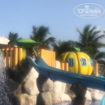 фото из отзыва ID 2072000