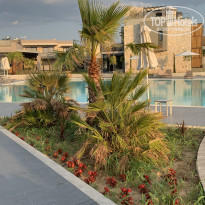 фото из отзыва ID 2072126