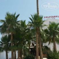 фото из отзыва ID 2072134