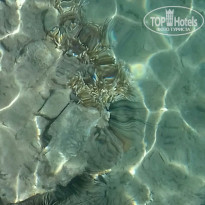 фото из отзыва ID 2072157