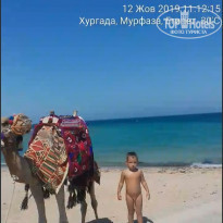 фото из отзыва ID 2072157