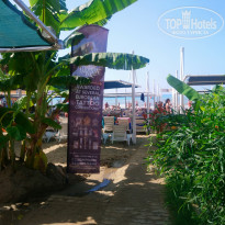 фото из отзыва ID 2072280