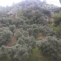 фото из отзыва ID 2072321