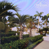 фото из отзыва ID 2072348