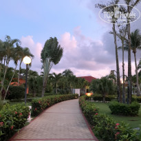 фото из отзыва ID 2072348