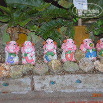 фото из отзыва ID 2072372