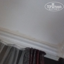 фото из отзыва ID 2072565