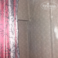 фото из отзыва ID 2072565