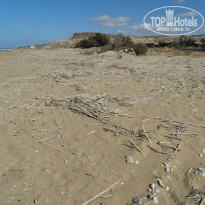 фото из отзыва ID 2072604