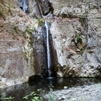 фото из отзыва ID 2070990